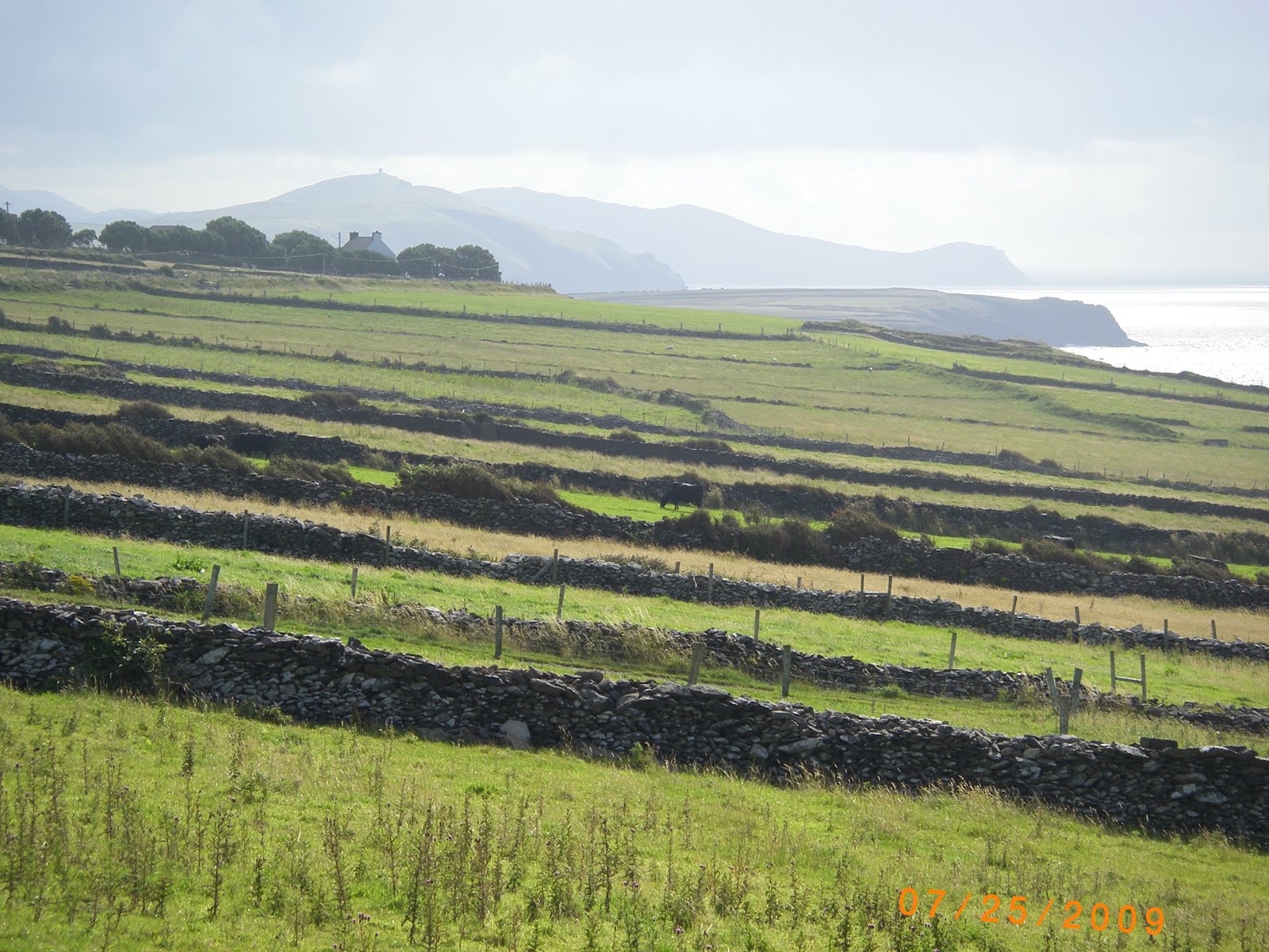 lá fhéile pádraig shona