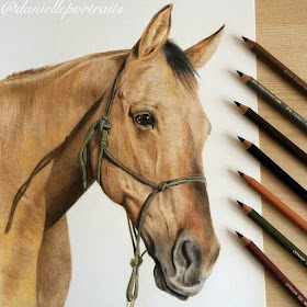 11-Horse-Commission-Danielle-Fisher-Realistic-Animal-Portrait-Pastel-Drawings-www-designstack-co