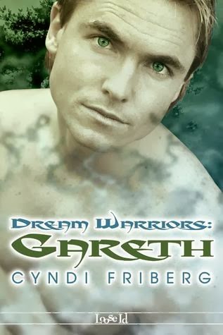 Cyndi Friberg - Series Rebel Angels & Dreams Warriors 3