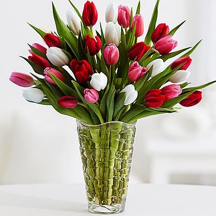 Temporada de tulipanes, bueno, bonito y barato? – Flores Selectas