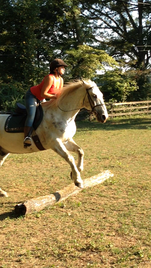 Training is going well, Kat and Mustang are quite the brave pair!