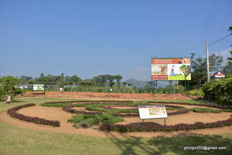 philipveerasingam At the Agricultural Department Complex, Gannoruwa