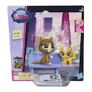 Littlest Pet Shop Pet Pawsabilities Begonia Gatto (#146) Pet