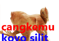 Gambar Lucu Tulisan Jawa Ngapak