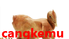 9 stiker kata kata lucu bahasa jawa Terbaru