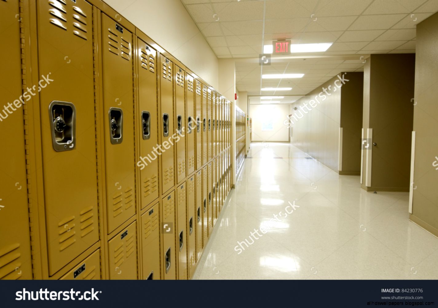 Hallway Stock Photos Images  Pictures  Shutterstock