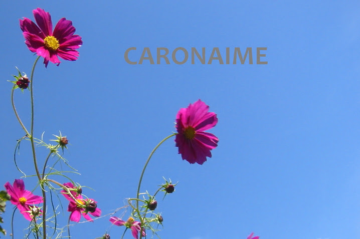 caronaime