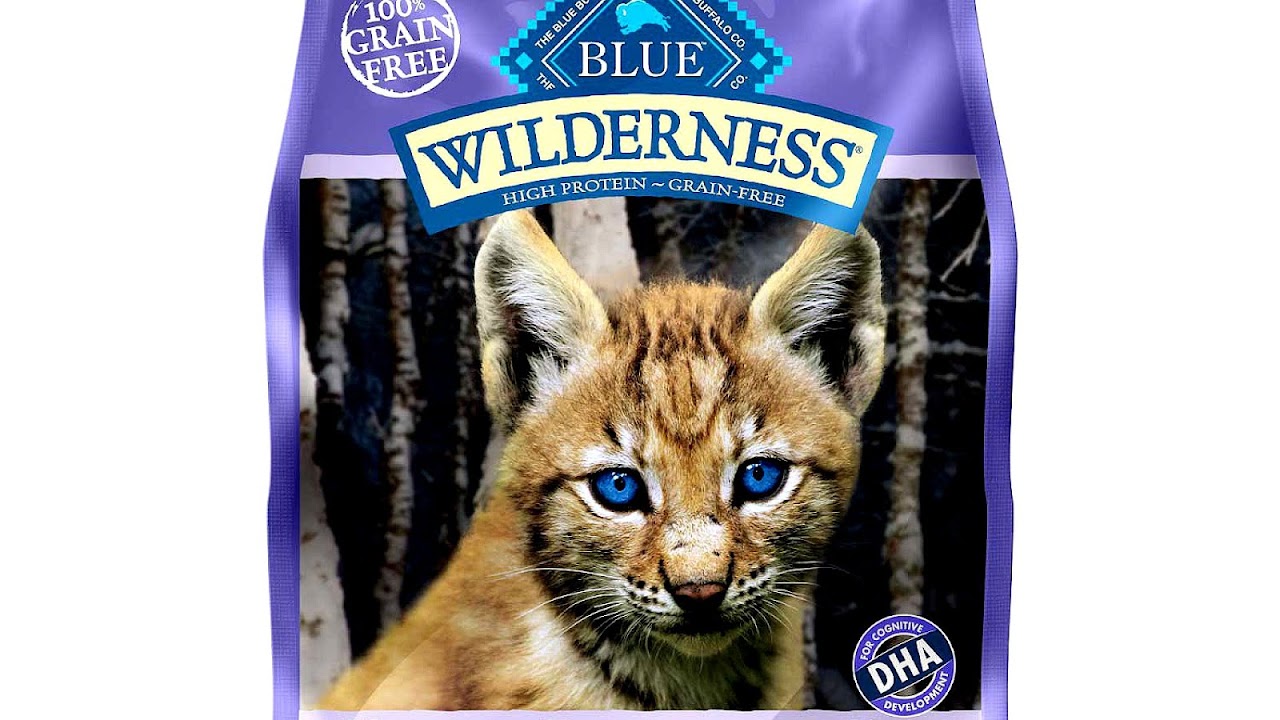 High Protein Cat Food Cat Choices