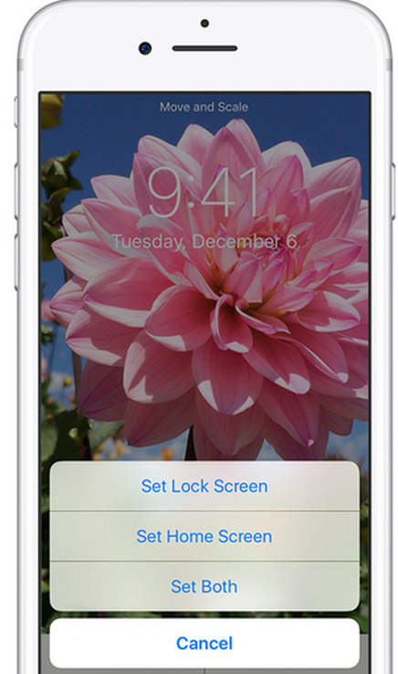 How to Customize iPhone 8  iPhone 8 Manual Tutorial