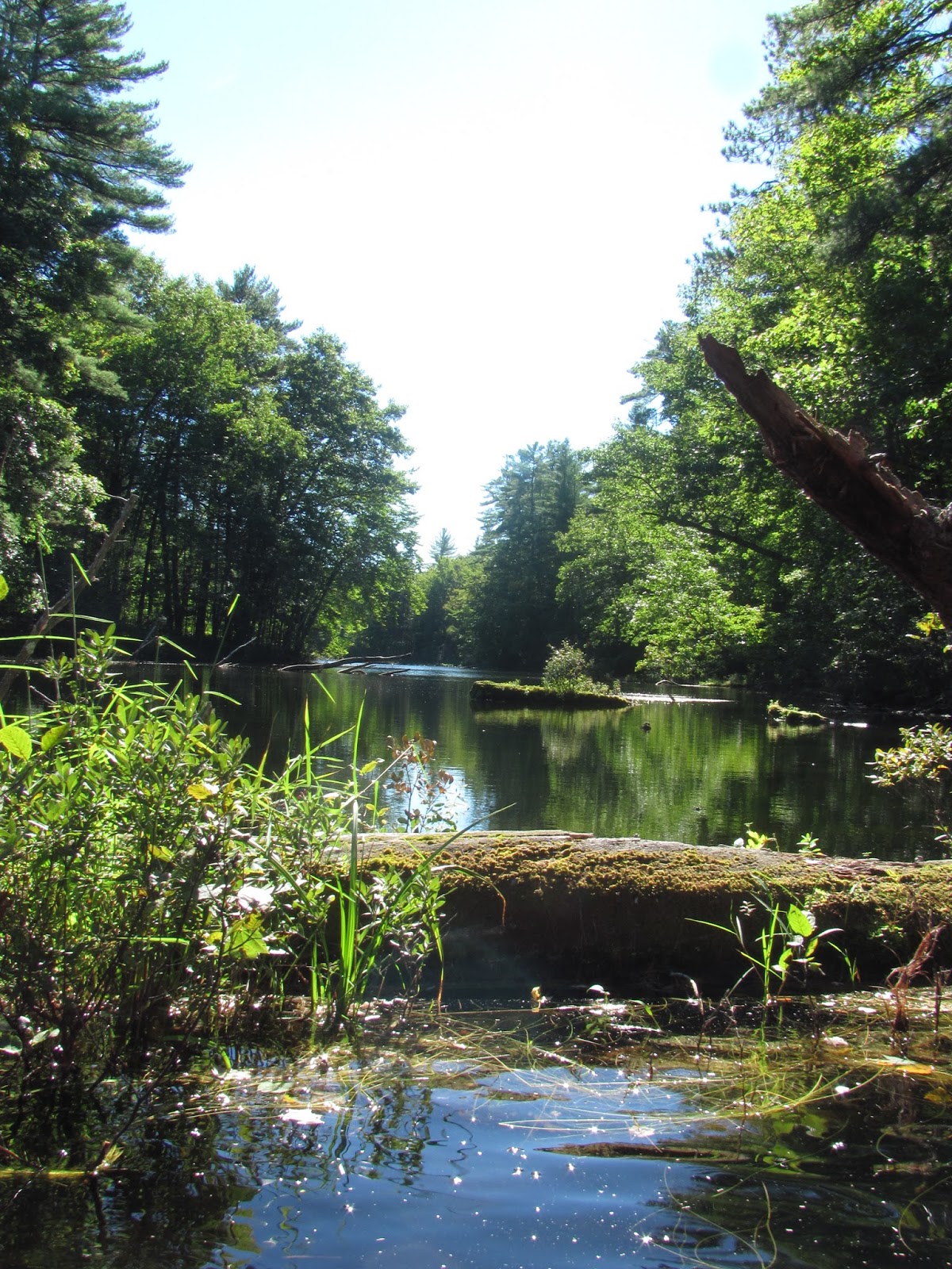 Recreational Kayaking in Maine: Lower Range Pond (State Park), Poland ...