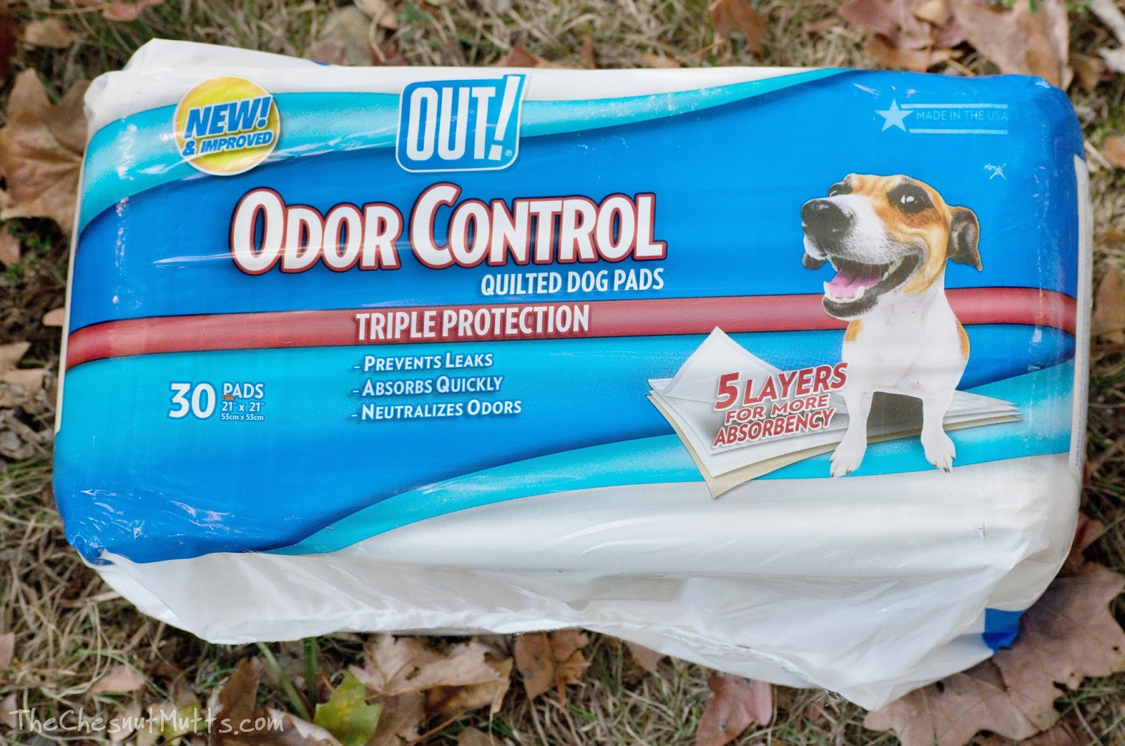 Review Using OUT!® Potty Pads in a MultiPet Home The Chesnut Mutts