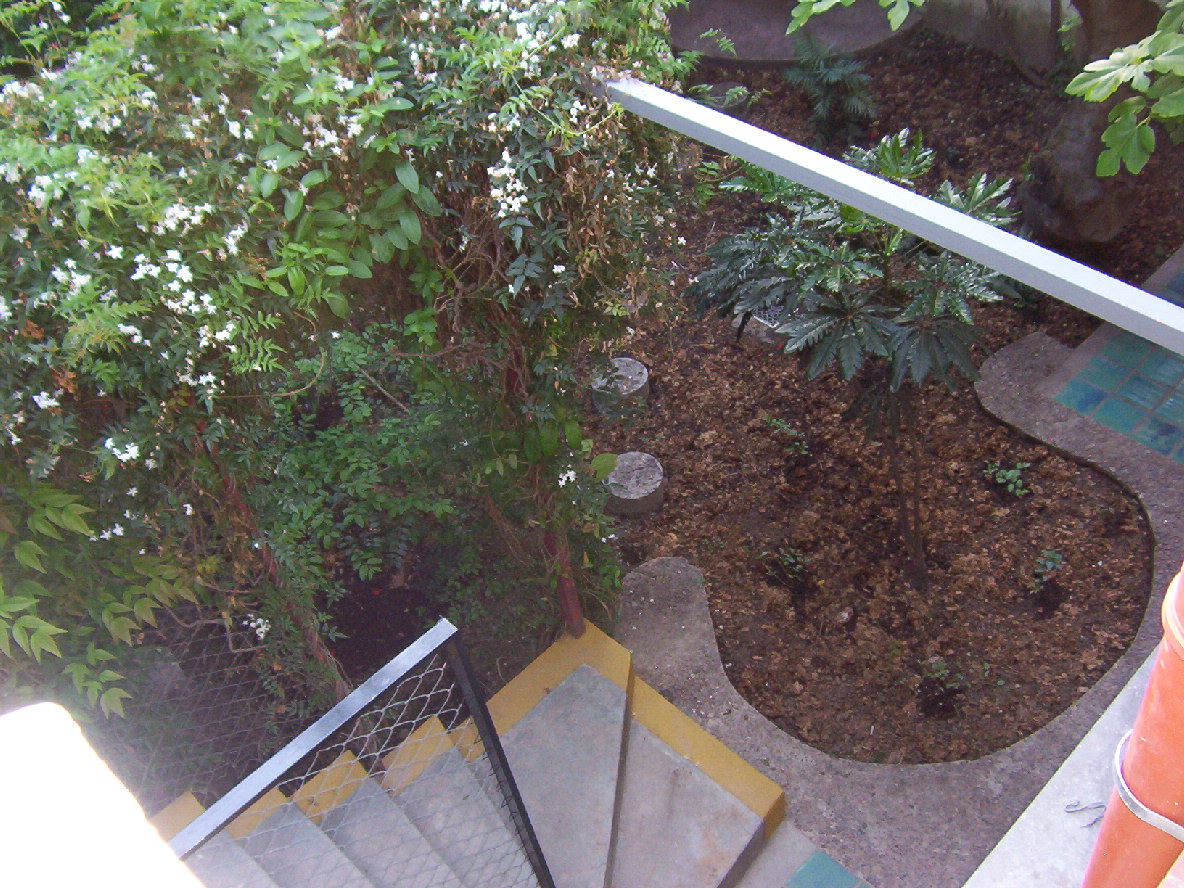 SILVESTRE: PAISAJE EN MOVIMIENTO