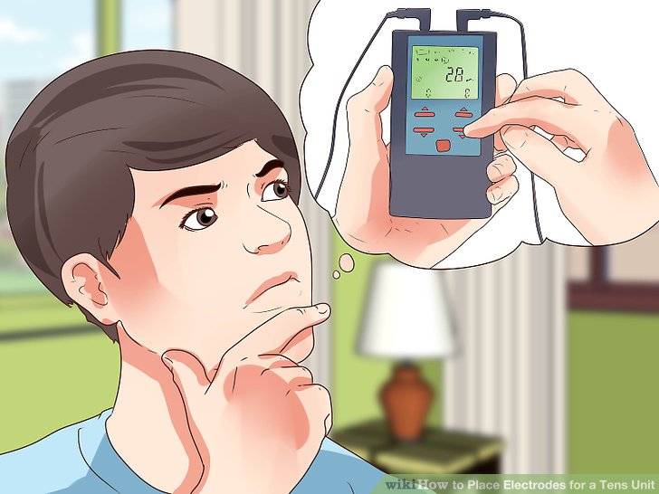 EXAMS AND ME Electricity Inner Ear To Hearing