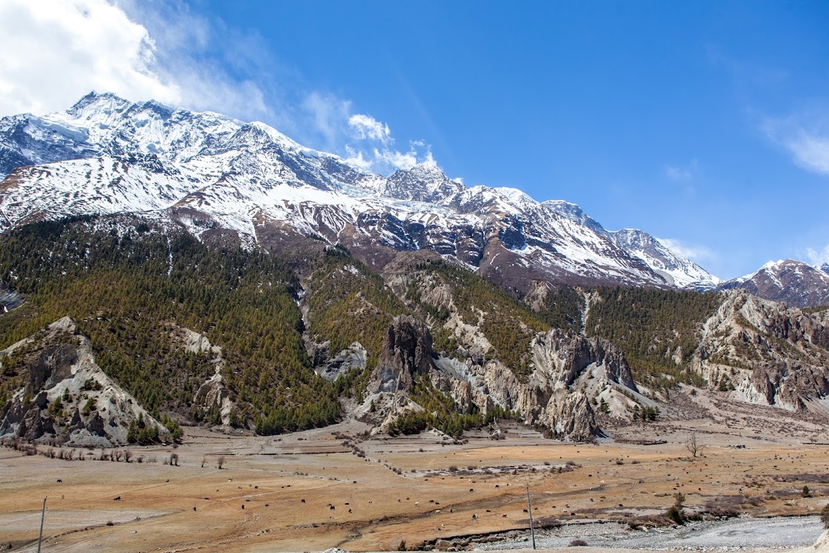 200км по красно-белым черточкам.. Around Annapurna. март-апрель 2017