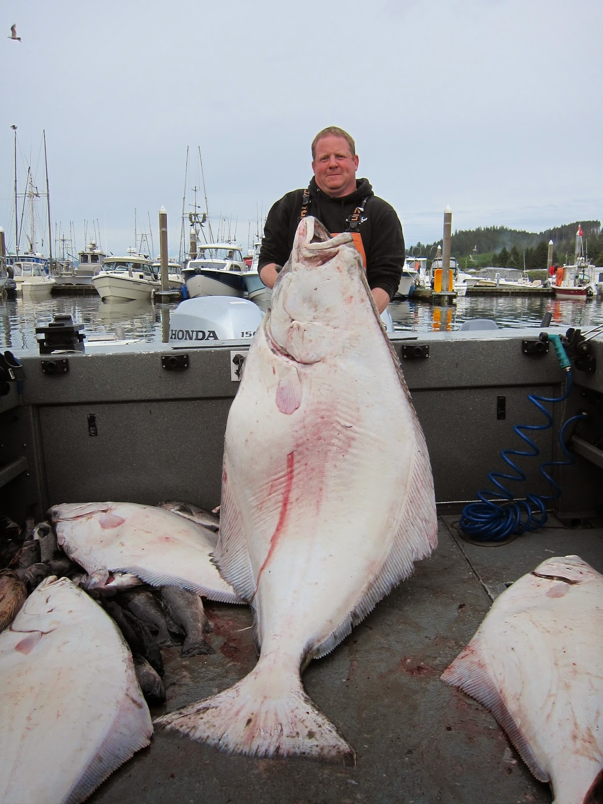 Todds Extreme Fishing Great fishing at Neah Bay!