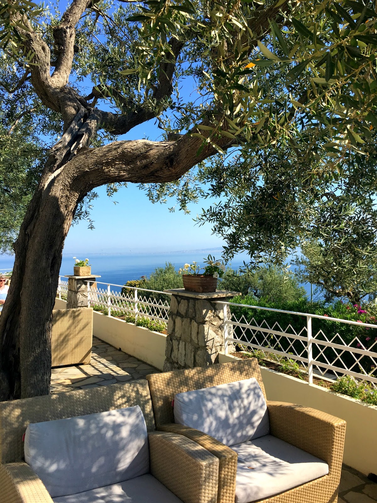 Eating Under Lemon Trees, Sorrento All Things Foxy