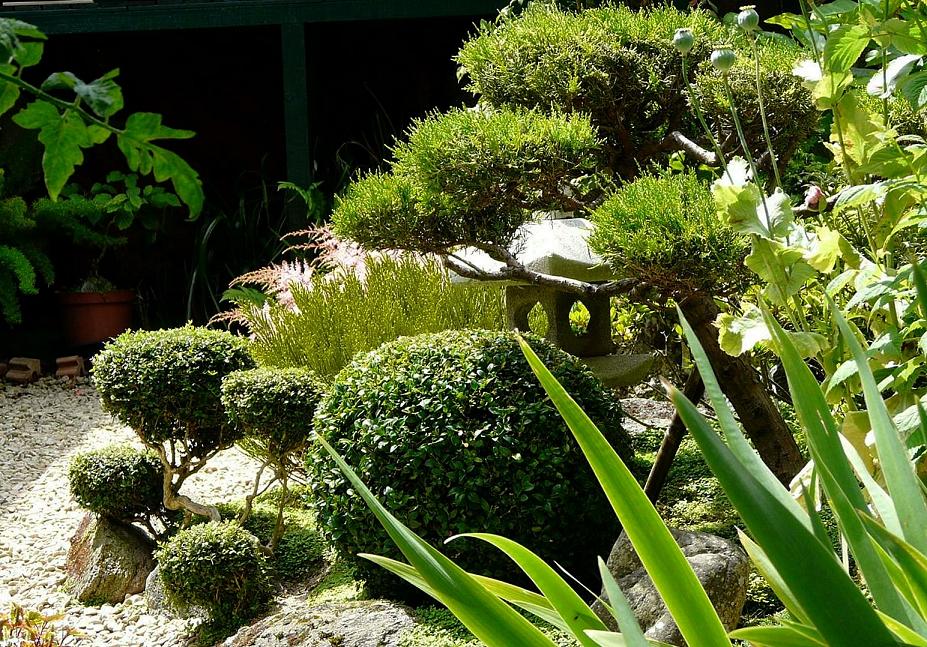 Le Monde De Shuki Creation Et Evolution Du Coin Japonais