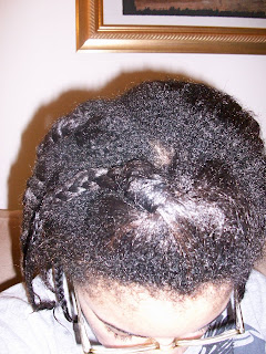 7-2011+Braid+Takedown+001.JPG