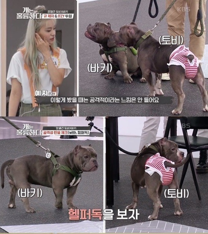 이미지에 대체텍스트 속성이 없습니다; 파일명은 202008251143556964262_20200825124211_02_20200825124915121.jpg 입니다.