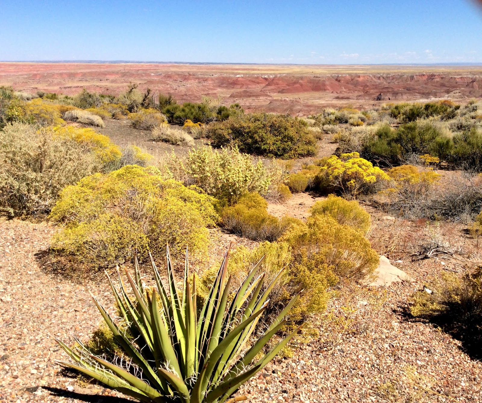 Gallup, NM to Holbrook, Arizona