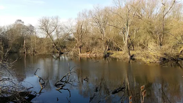 A little natural wildness