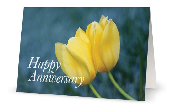 Tulips for anniversary