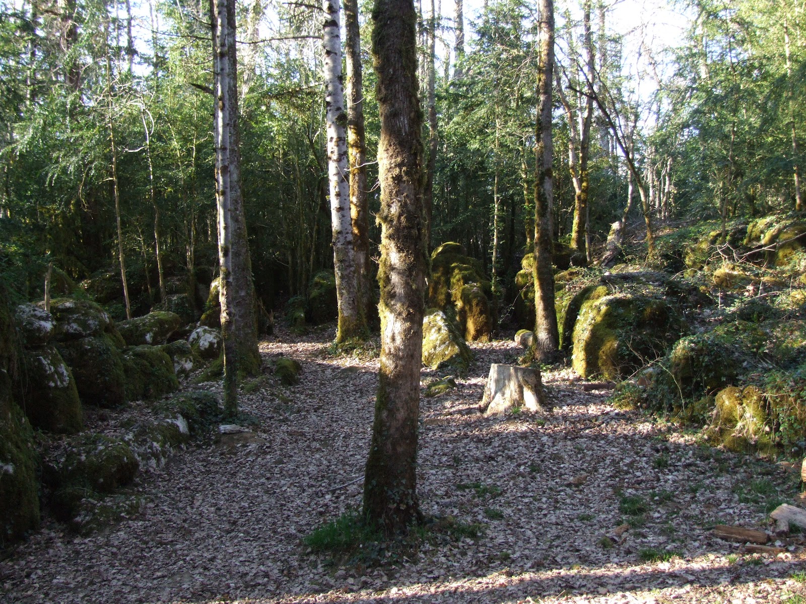 Haute Vallée de l'Aude en photo Nébias