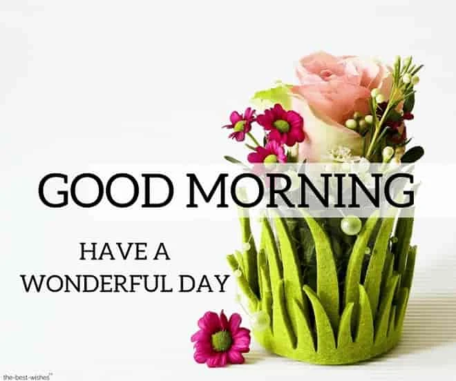 good morning beautiful pic