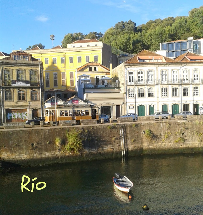 Ciudad Oporto Viajar Verano