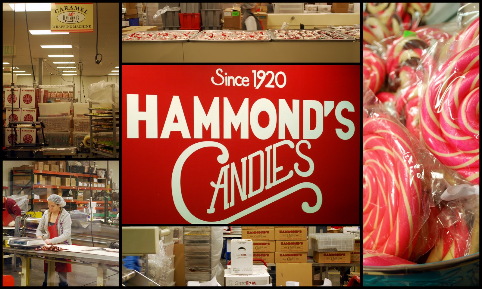 Mille Fiori Favoriti The Hammond's Candy Factory