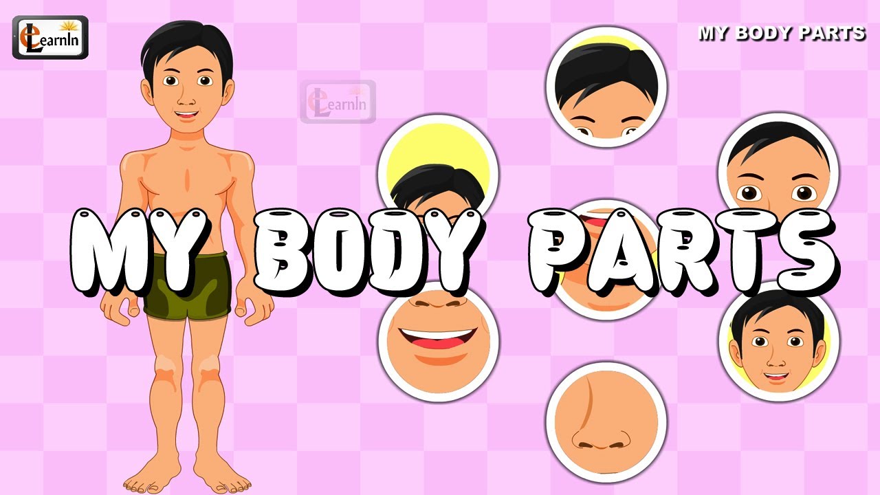 Body надпись. My body. части тела на английском для детей. My body this is me. боди меме.