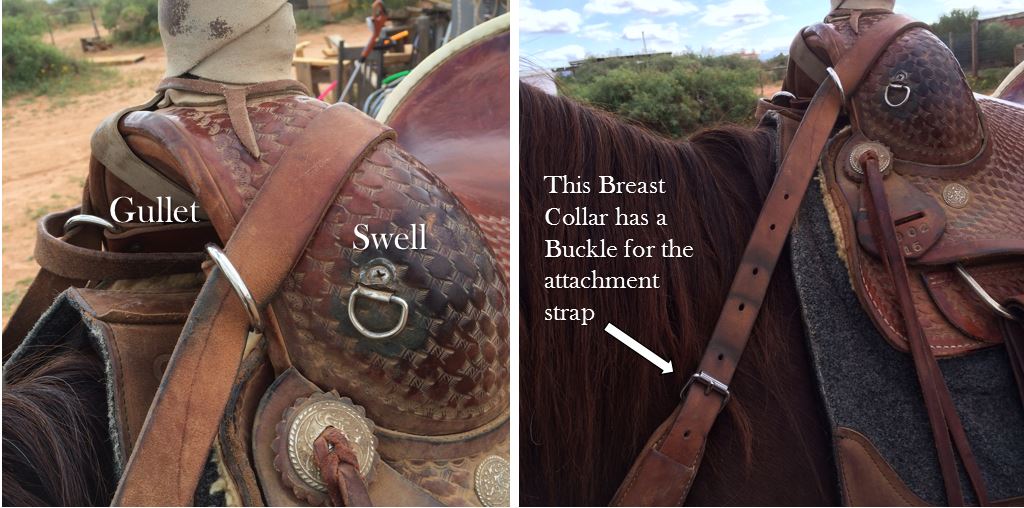 Functional Horsemanship Breast Collar Fit Question