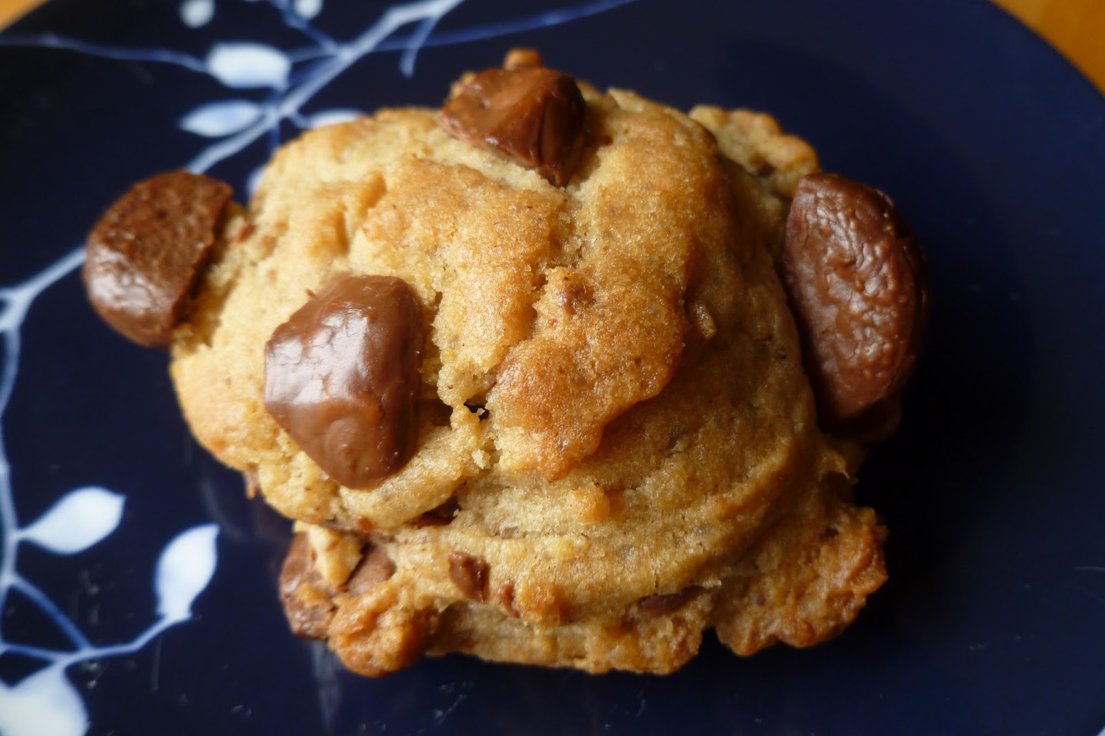 The Pastry Chef's Baking Pinch of Yum Chocolate Chip Cookies