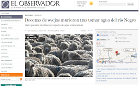 contaminación algas tóxicas río Negro, Uruguay. Muerte de ovejas.