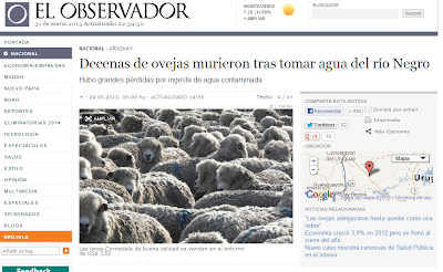 contaminación algas tóxicas río Negro, Uruguay. Muerte de ovejas.