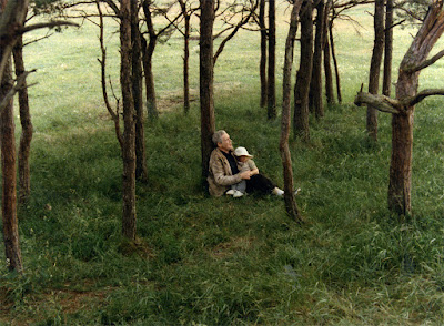 Andrei Tarkovsky's The Sacrifice (1986) Image 2