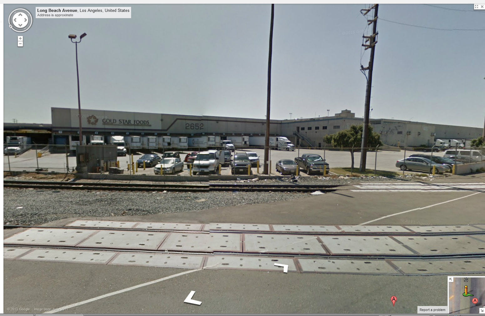 The Gentleman from Indiana 1931 Indy 500 Louis Schneider