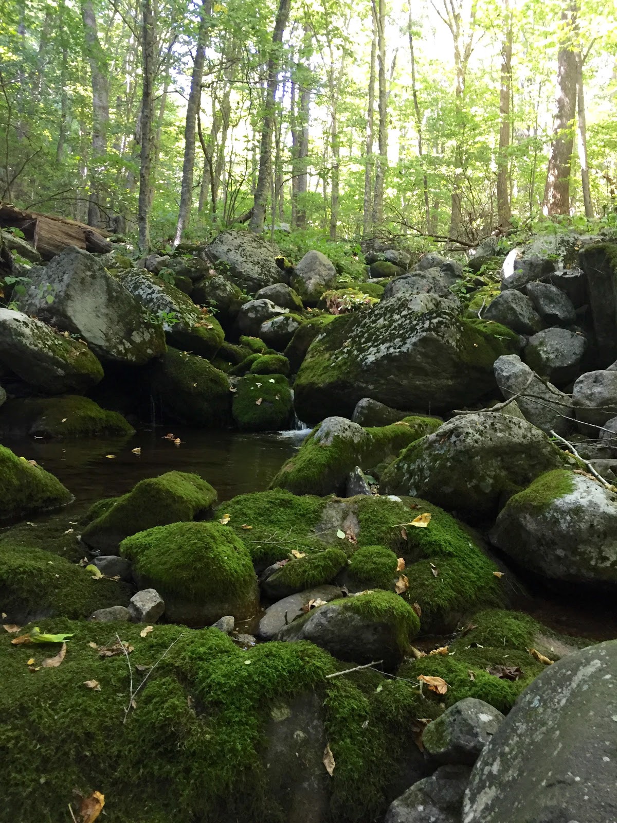 September 18 19 20 2015 Jones Mtn Cabin Jones Mtn McDaniel September 18 19 20 2015 Jones Mtn Cabin Jones Mtn McDaniel