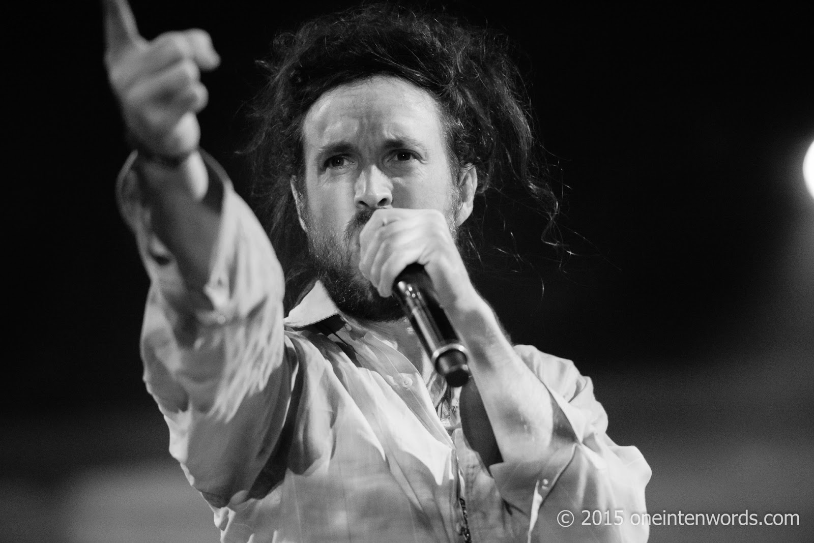 one in ten words TURF 2015 Day 2 Edward Sharpe and the Zeros