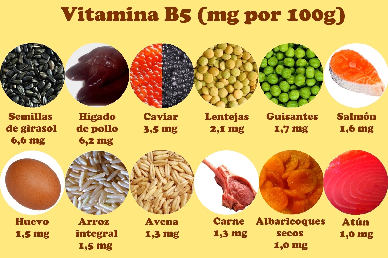 Nutrición y vitaminas hidrosolubles febrero 2017