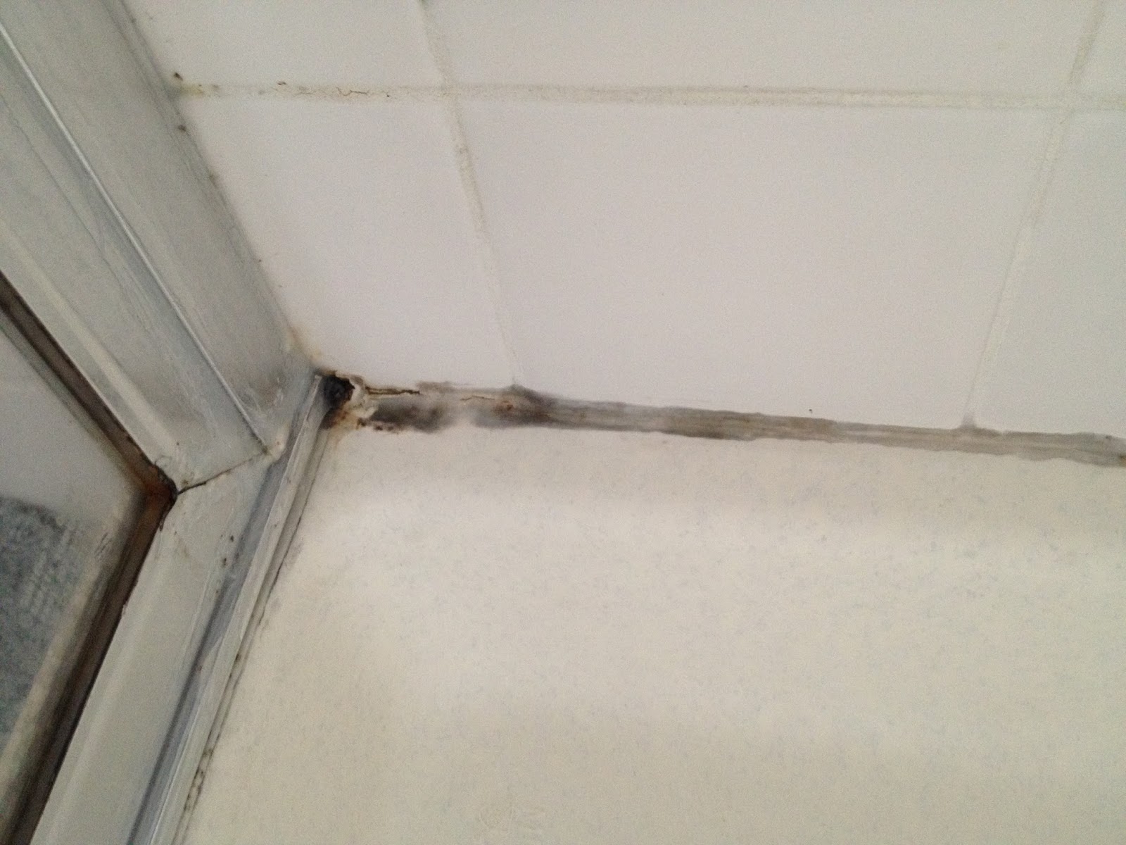 The DIY Guinea Pig Goodbye Shower Mold