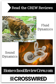 Sound, and Fluid Dynamics {CrossWired Science Reviews}