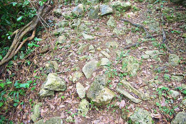 trail, stones, vegetation, hill