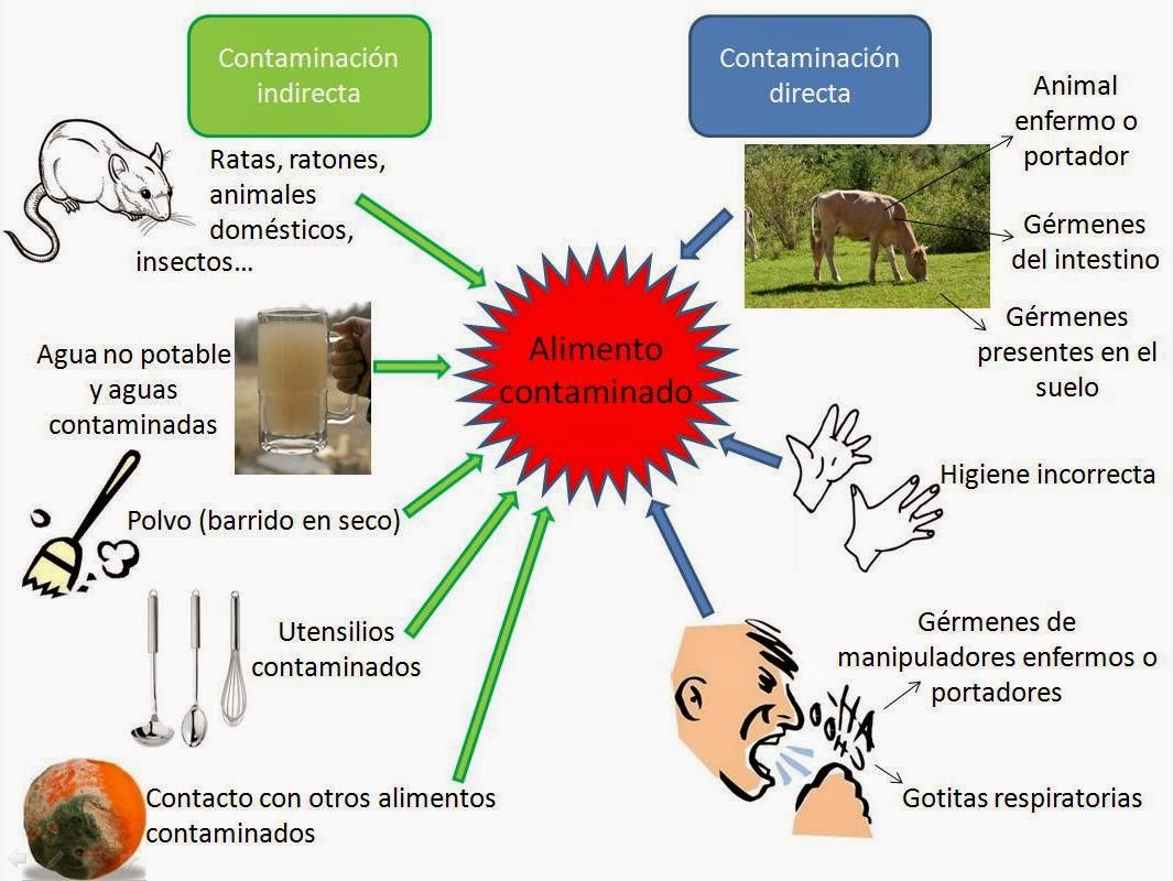 CONTROL ALIMENTARIO