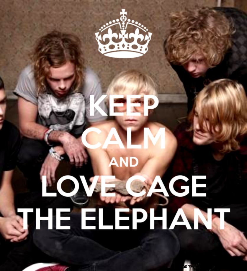 Cage The Elephant Iphone Wallpaper