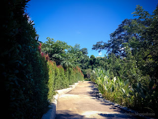 Garden walkway View In The Clear Blue Sky On A Sunny Day