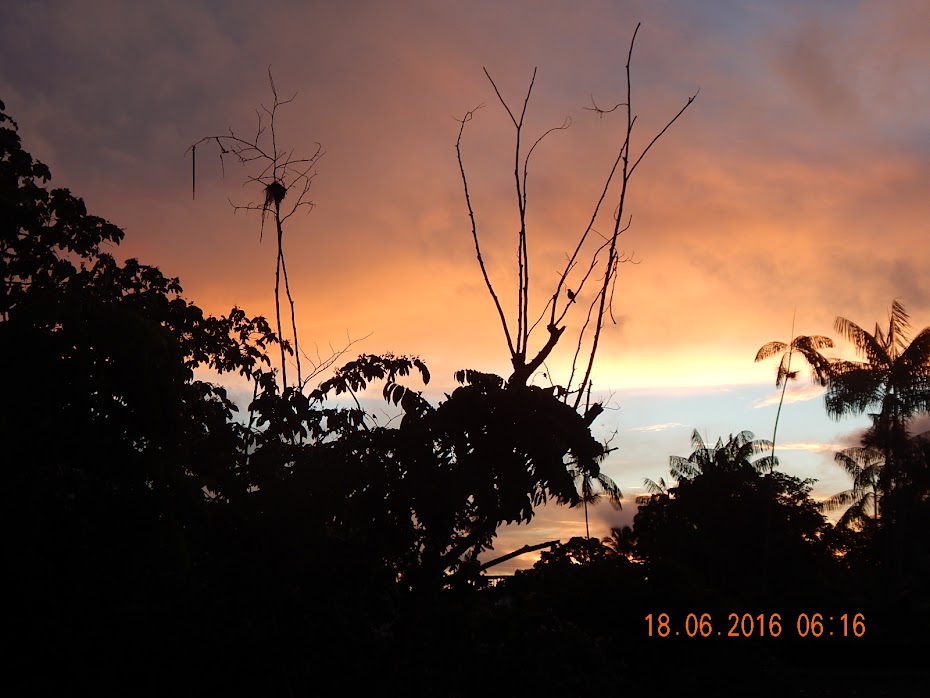 FOTO > NECA MACHADO > AMAPÁ