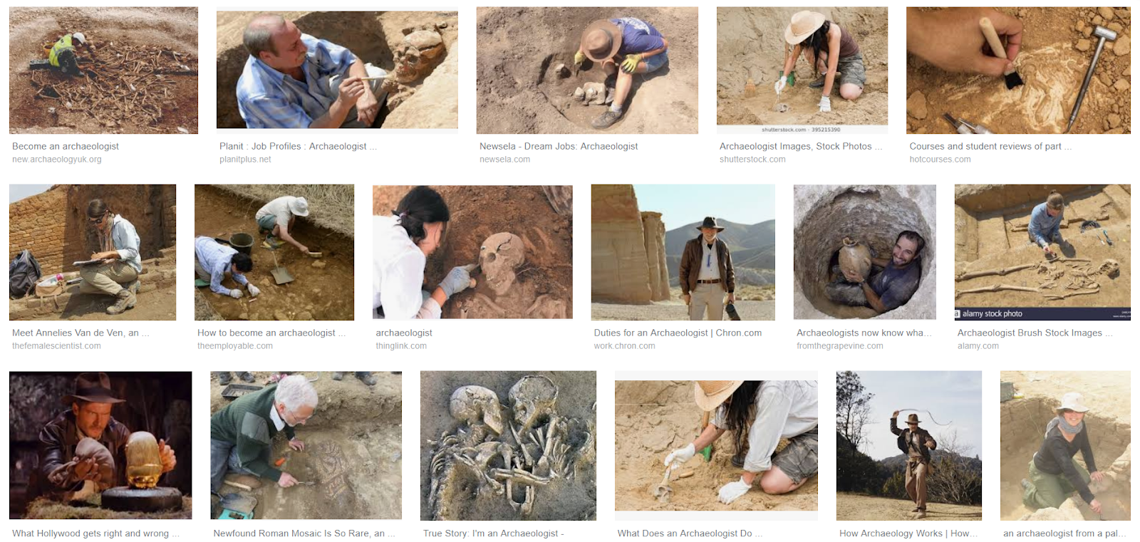 A (palaeo)biologist postdoc's views of the past, present and future