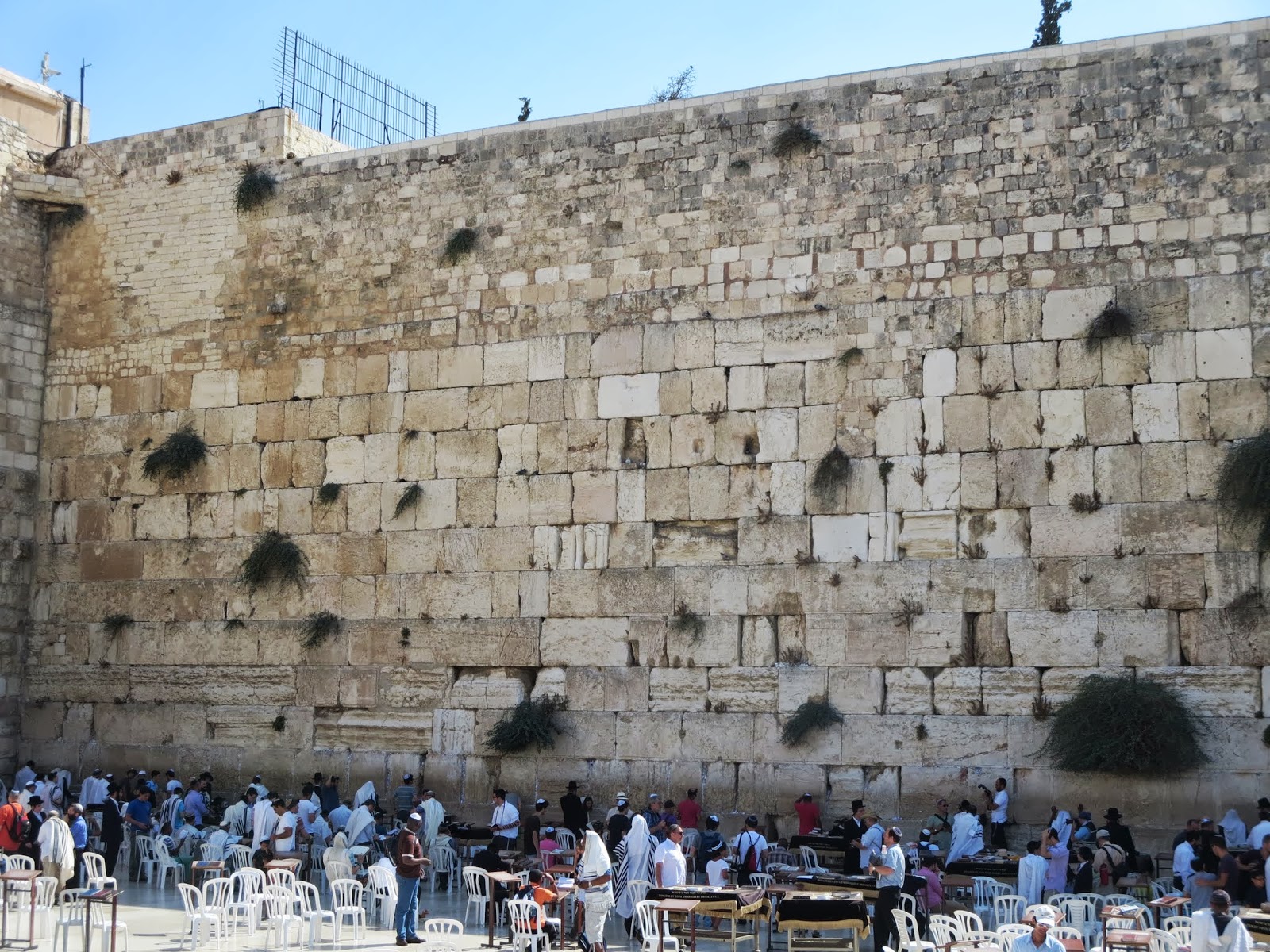 Dove Si Trova Il Muro Del Pianto Israele e Cipro: Il muro del pianto