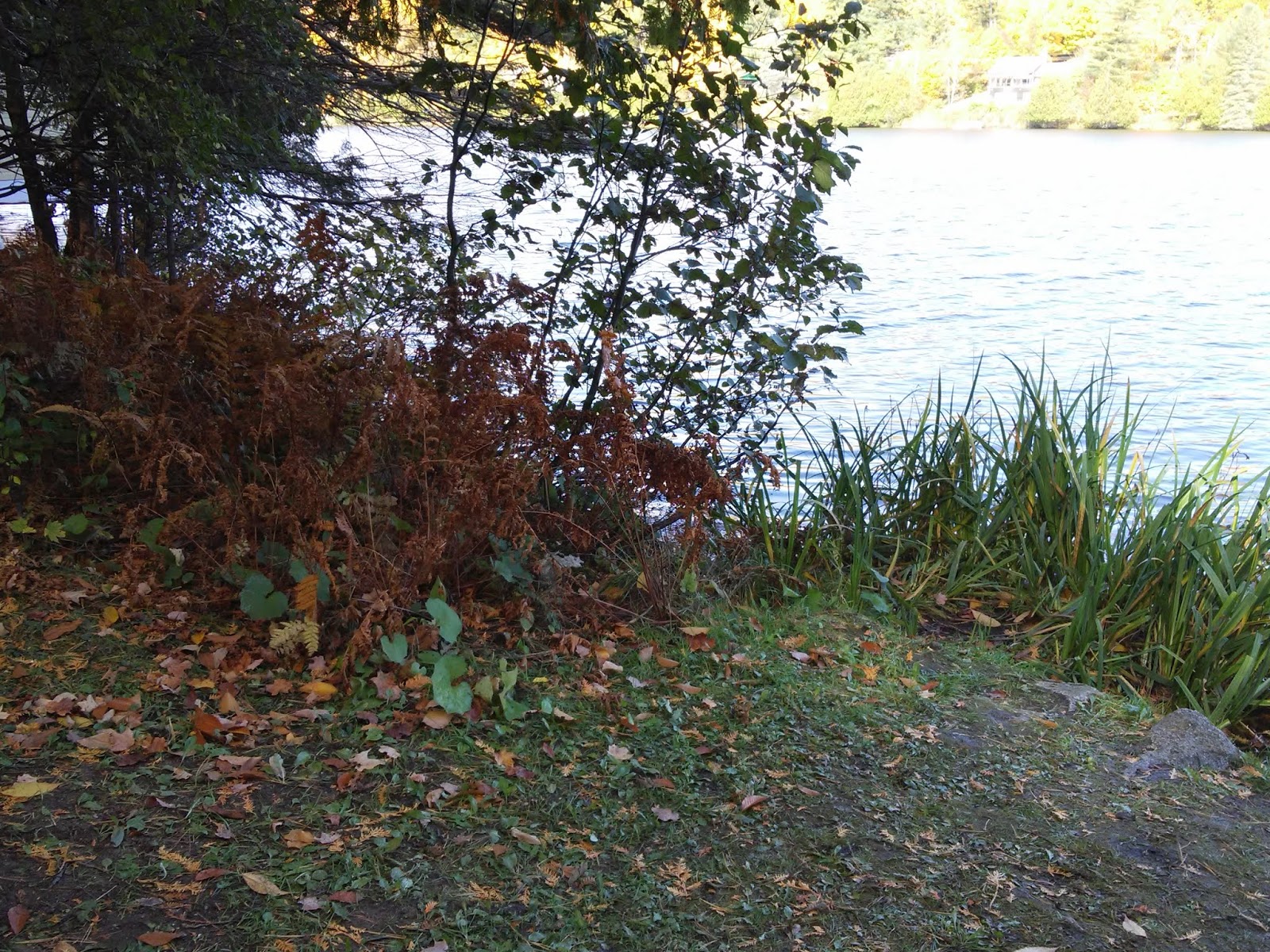 Ottawa Daily Photo: Kingswood And Kingsmere Lake